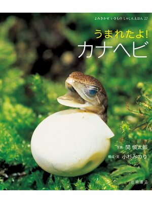 cover image of うまれたよ!カナヘビ